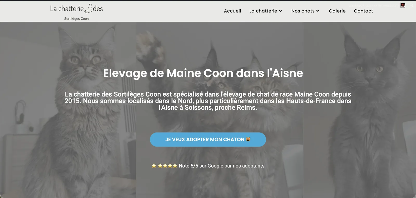 Capture de l'ancien site