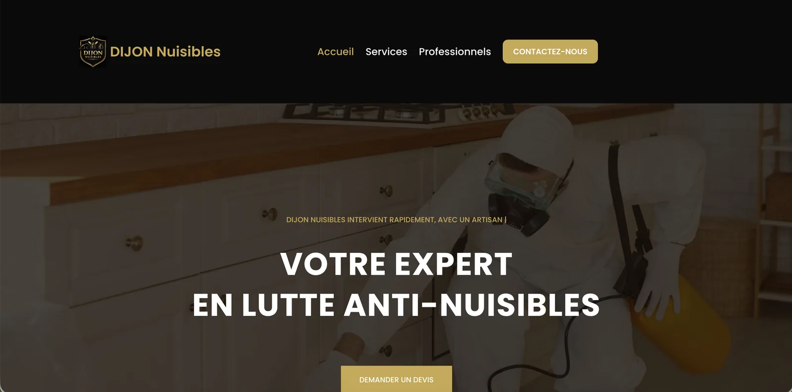Capture de l'ancien site